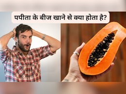 सेहत के साथ जेब के लिए भी किफायती, Almost Free हैं ये बीज, चिया सीड्स जैसे महंगे बीजों को देते हैं टक्कर सेहत के साथ जेब के लिए भी किफायती, Almost Free हैं ये बीज, चिया सीड्स जैसे महंगे बीजों को देते हैं टक्कर