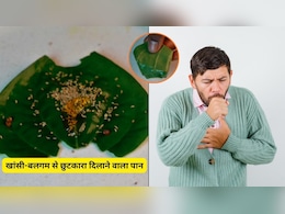 5-7 दिन में खांसी और छाती में जमे बलगम से छुटकारा दिलाएगा ये पान, डॉक्टर ने बताया असरदार नुस्खा 5-7 दिन में खांसी और छाती में जमे बलगम से छुटकारा दिलाएगा ये पान, डॉक्टर ने बताया असरदार नुस्खा