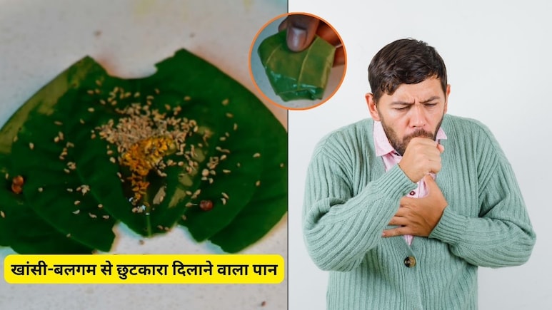 5-7 दिन में खांसी और छाती में जमे बलगम से छुटकारा दिलाएगा ये पान, डॉक्टर ने बताया असरदार नुस्खा 5-7 दिन में खांसी और छाती में जमे बलगम से छुटकारा दिलाएगा ये पान, डॉक्टर ने बताया असरदार नुस्खा