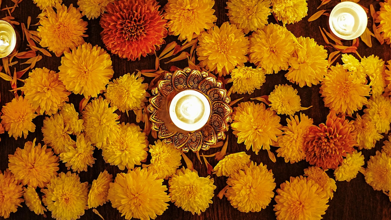 Radiate warmth and positivity this festive season with glowing diyas, lights, and radiant lamps
