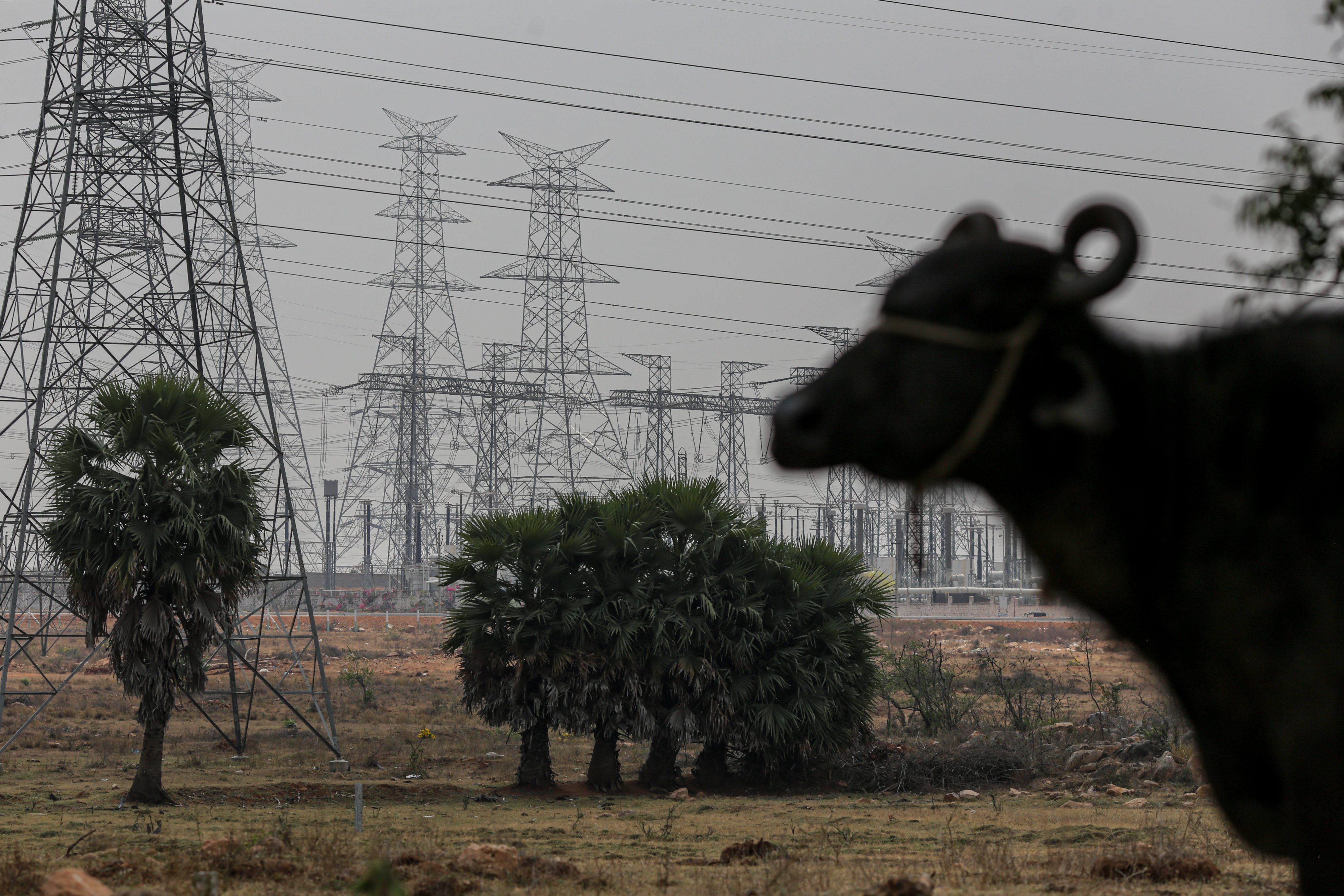 India To Tighten Green Power Rules To Safeguard Grid Stability