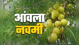 Amla Navami 2025: घर में किस दिशा में लगाना चाहिए आंवले का पेड़, जानें 5 पवित्र पौधों का वास्तु नियम