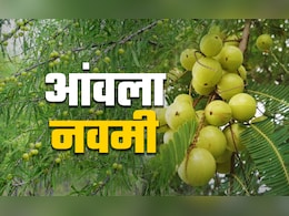 Amla Navami 2025: घर में किस दिशा में लगाना चाहिए आंवले का पेड़, जानें 5 पवित्र पौधों का वास्तु नियम Amla Navami 2025: घर में किस दिशा में लगाना चाहिए आंवले का पेड़, जानें 5 पवित्र पौधों का वास्तु नियम