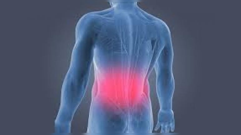 Back Pain का आपके दिमाग से है गहरा कनेक्शन, जानिए इस दर्द से राहत पाने के उपाय Back Pain का आपके दिमाग से है गहरा कनेक्शन, जानिए इस दर्द से राहत पाने के उपाय