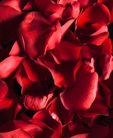 Seven Brilliant Ways To Use Rose Petals