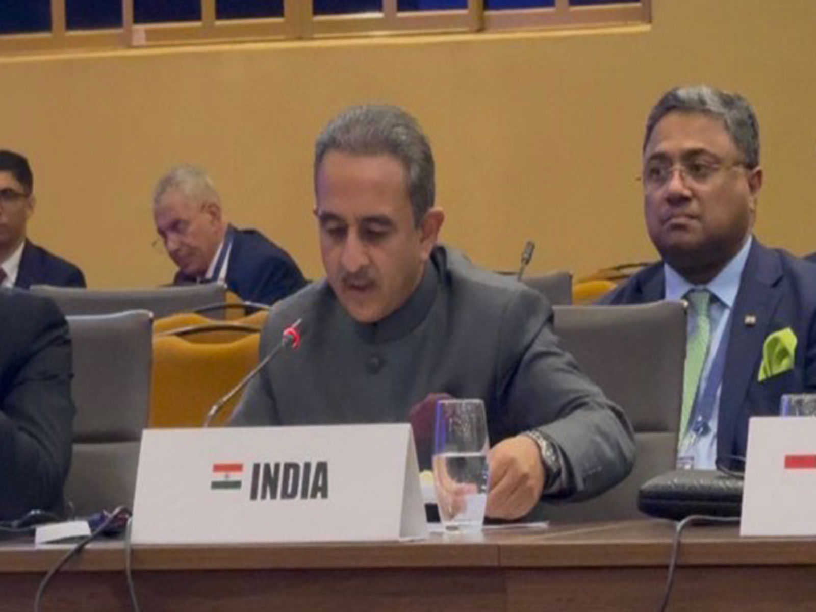 Two-State Solution Remains 'Ultimate Objective' For Middle East Peace: India
