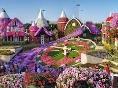 Dubai Miracle Garden 2025 Opens: Dates, Tickets And Must-See Attractions