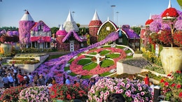 Dubai Miracle Garden 2025 Opens: Dates, Tickets And Must-See Attractions
