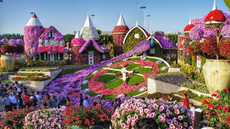 Dubai Miracle Garden 2025 Opens: Dates, Tickets And Must-See Attractions