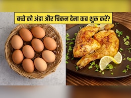 बच्चे को अंडा और चिकन खिलाना कब शुरू करें? डॉक्टर रवि मलिक ने बताई सही उम्र बच्चे को अंडा और चिकन खिलाना कब शुरू करें? डॉक्टर रवि मलिक ने बताई सही उम्र