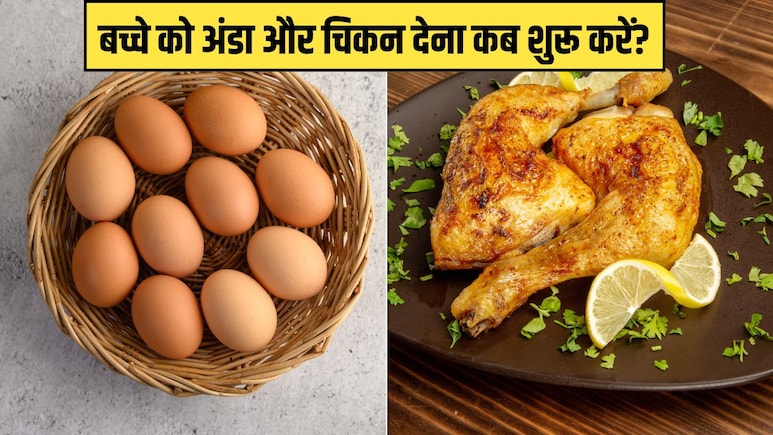 बच्चे को अंडा और चिकन खिलाना कब शुरू करें? डॉक्टर रवि मलिक ने बताई सही उम्र बच्चे को अंडा और चिकन खिलाना कब शुरू करें? डॉक्टर रवि मलिक ने बताई सही उम्र