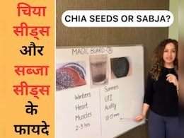 मौसम के हिसाब से कौनसा बीज होगा हेल्थ के लिए बेस्ट, जानिये एक्सपर्ट से... मौसम के हिसाब से कौनसा बीज होगा हेल्थ के लिए बेस्ट, जानिये एक्सपर्ट से...