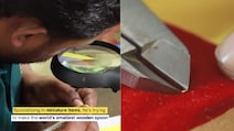 Watch: Indian Artist Sets Record For Making World's Smallest Wooden Spoon