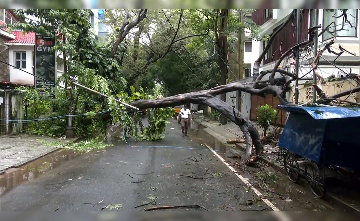 Latest and Breaking News on NDTV Latest and Breaking News on NDTV