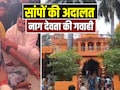 Court of Snakes: सांपों की अदालत; MP में यहां नाग देवता खुद देते हैं गवाही, 100 साल से जारी है अनोखी पेशी