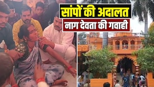 यहां लगती है सांपों की अदालत, इंसानी शरीर में आकर नागदेवता खुद देते हैं गवाही, 100 साल पुरानी है परंपरा
