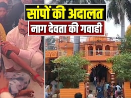 यहां लगती है सांपों की अदालत, इंसानी शरीर में आकर नागदेवता खुद देते हैं गवाही, 100 साल पुरानी है परंपरा यहां लगती है सांपों की अदालत, इंसानी शरीर में आकर नागदेवता खुद देते हैं गवाही, 100 साल पुरानी है परंपरा