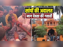 Court of Snakes: सांपों की अदालत; MP में यहां नाग देवता खुद देते हैं गवाही, 100 साल से जारी है अनोखी पेशी Court of Snakes: सांपों की अदालत; MP में यहां नाग देवता खुद देते हैं गवाही, 100 साल से जारी है अनोखी पेशी