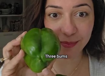 Why Use Four-Lobed Capsicums For Salads? Actress Nauheed Cyrusi Explains