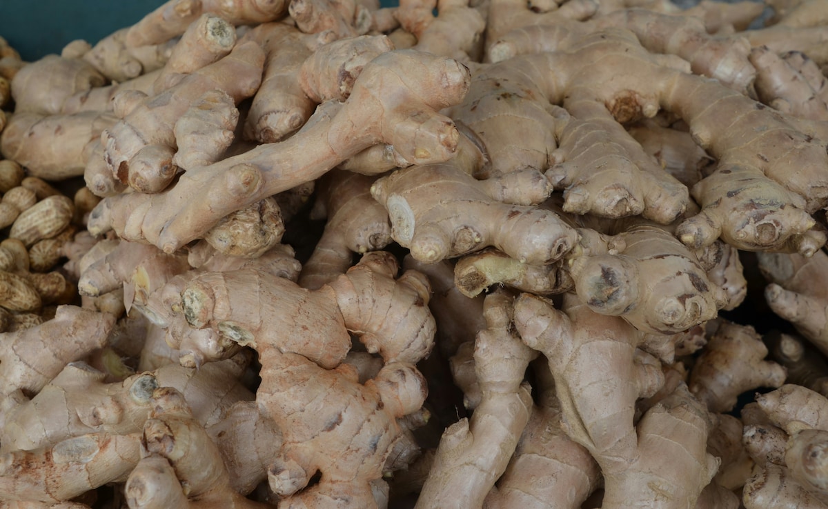 Latest and Breaking News on NDTV Latest and Breaking News on NDTV