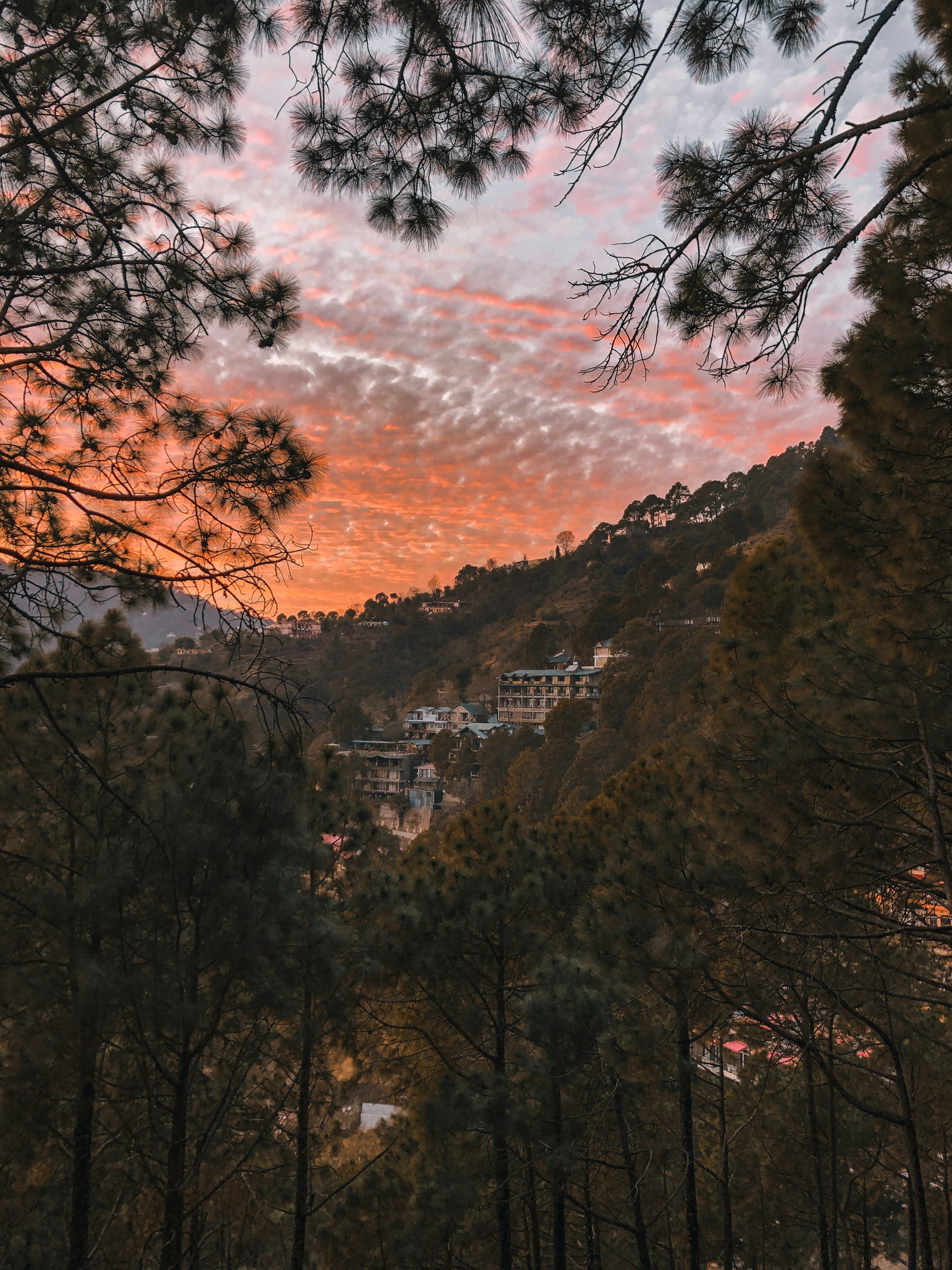 7 Quick Getaways Near Delhi For Diwali 2025 Long Weekend