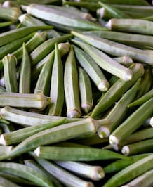 Health Benefits Of Okra