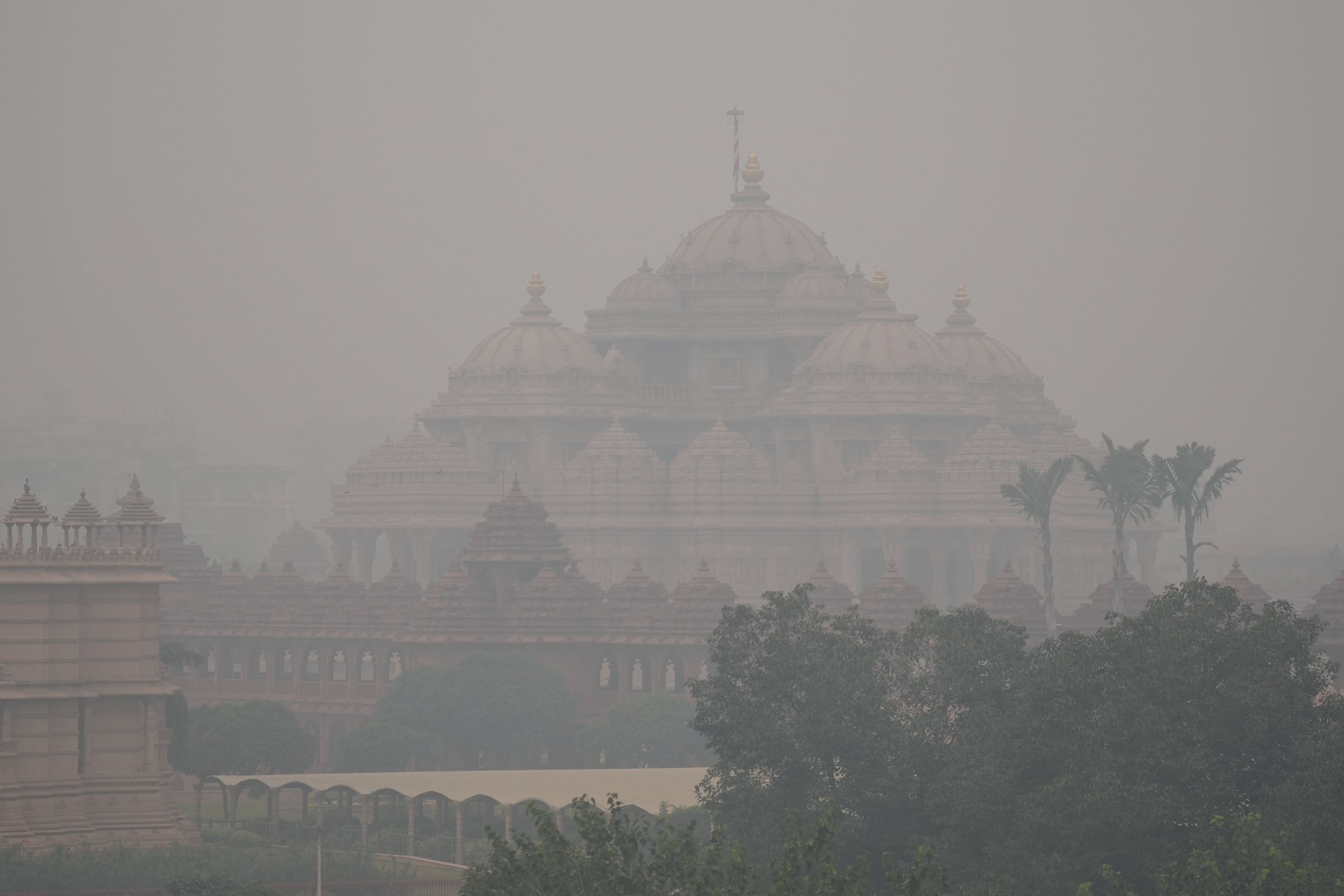 दिल्ली-NCR में क्यों छाई पीली जहरीली धुंध, कितनी खतरनाक? अस्पतालों में लगी मरीजों की लाइन