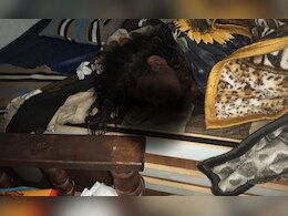 Murder: बिस्तर पर खून से सना मिला महिला का शव, दो दिनों से घर के अंदर देवर के साथ थी  Murder: बिस्तर पर खून से सना मिला महिला का शव, दो दिनों से घर के अंदर देवर के साथ थी