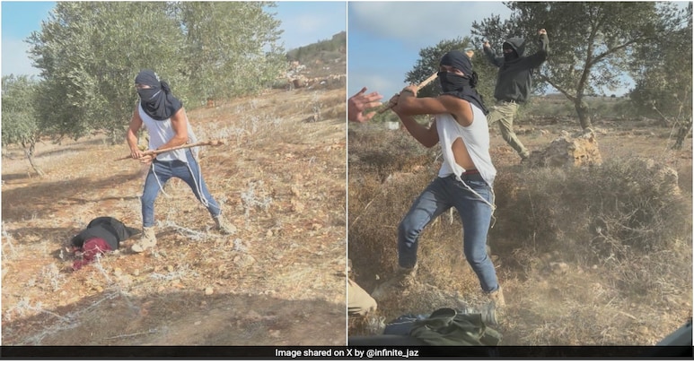 On Camera, Masked Israeli Settlers' "Brutal Ambush" On Palestinian Farmers On Camera, Masked Israeli Settlers' "Brutal Ambush" On Palestinian Farmers