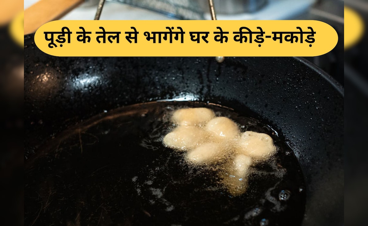 पूड़ी छानने के बाद बचे तेल से भगाएं घर के कीड़े-मकोड़े, तरीका है एकदम सिंपल