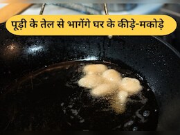 पूड़ी छानने के बाद बचे तेल से भगाएं घर के कीड़े-मकोड़े, तरीका है एकदम सिंपल पूड़ी छानने के बाद बचे तेल से भगाएं घर के कीड़े-मकोड़े, तरीका है एकदम सिंपल