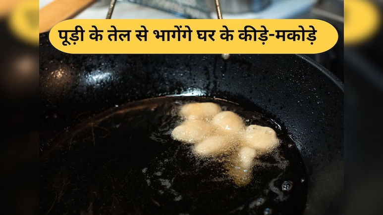 पूड़ी छानने के बाद बचे तेल से भगाएं घर के कीड़े-मकोड़े, तरीका है एकदम सिंपल पूड़ी छानने के बाद बचे तेल से भगाएं घर के कीड़े-मकोड़े, तरीका है एकदम सिंपल