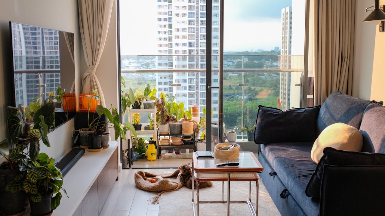 Indoor Plant Stands For Living Rooms During Smog Season