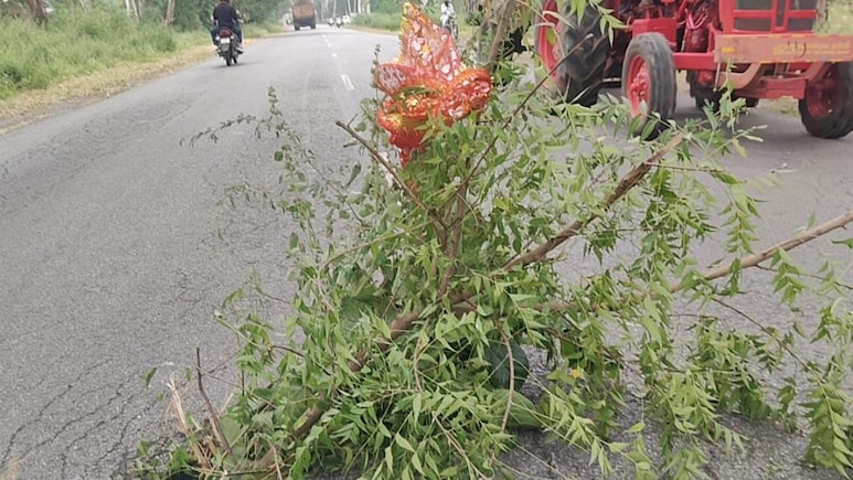 गड्ढों से बचने के लिए हाईवे पर देसी जुगाड़, बांसवाड़ा में पीडब्ल्यूडी की बड़ी लापरवाही आई सामने गड्ढों से बचने के लिए हाईवे पर देसी जुगाड़, बांसवाड़ा में पीडब्ल्यूडी की बड़ी लापरवाही आई सामने