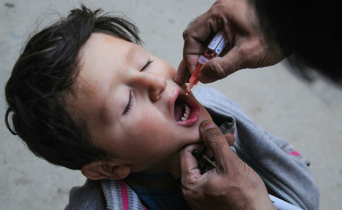 Latest and Breaking News on NDTV Latest and Breaking News on NDTV