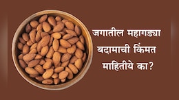 Expensive Almonds Cost: कोणते बदाम सर्वाधिक महागडे आहे? 1 Kg बदामाची किंमत आणि खाण्याची योग्य पद्धत जाणून घ्या