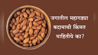 Expensive Almonds Cost: कोणते बदाम सर्वाधिक महागडे आहे? 1 Kg बदामाची किंमत आणि खाण्याची योग्य पद्धत जाणून घ्या