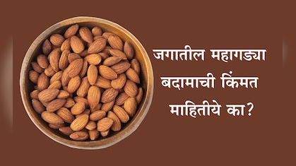 Expensive Almonds Cost: कोणते बदाम सर्वाधिक महागडे आहे? 1 Kg बदामाची किंमत आणि खाण्याची योग्य पद्धत जाणून घ्या