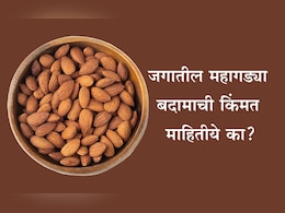 Expensive Almonds Cost: कोणते बदाम सर्वाधिक महागडे आहे? 1 Kg बदामाची किंमत आणि खाण्याची योग्य पद्धत जाणून घ्या Expensive Almonds Cost: कोणते बदाम सर्वाधिक महागडे आहे? 1 Kg बदामाची किंमत आणि खाण्याची योग्य पद्धत जाणून घ्या