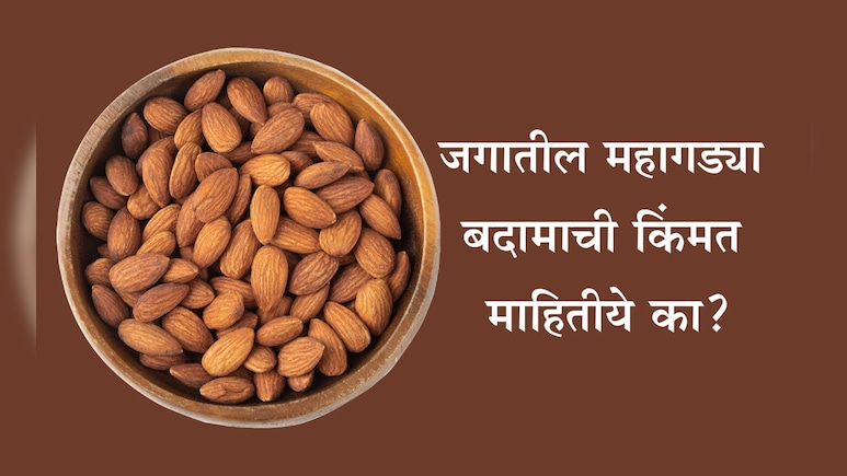 Expensive Almonds Cost: कोणते बदाम सर्वाधिक महागडे आहे? 1 Kg बदामाची किंमत आणि खाण्याची योग्य पद्धत जाणून घ्या Expensive Almonds Cost: कोणते बदाम सर्वाधिक महागडे आहे? 1 Kg बदामाची किंमत आणि खाण्याची योग्य पद्धत जाणून घ्या