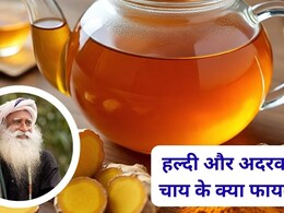 हल्दी और अदरक की चाय पीने से क्या होगा? सद्गुरु ने बताए 3 बड़े फायदे हल्दी और अदरक की चाय पीने से क्या होगा? सद्गुरु ने बताए 3 बड़े फायदे