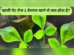 खाली पेट रोज 1 बेलपत्र खाने से क्या होता है? किन लोगों को करना चाहिए इसका सेवन खाली पेट रोज 1 बेलपत्र खाने से क्या होता है? किन लोगों को करना चाहिए इसका सेवन