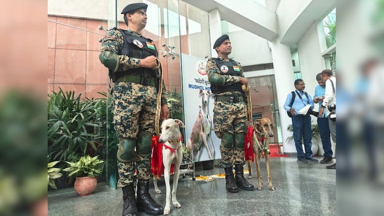 Pride On Paws:Indian Breeds Lead Way In Border Security Forces K9 Pride On Paws:Indian Breeds Lead Way In Border Security Forces K9