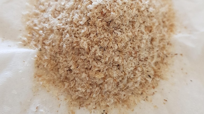 Psyllium Husk Side Effects Explained: Why Long-Term Use Can Worsen Constipation