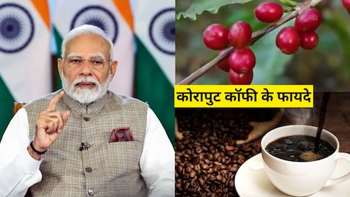 मन की बात में पीएम नरेंद्र मोदी ने की Koraput Coffee की तारीफ, कोरापुट कॉफी की विशेषता क्या है? जानें यहां