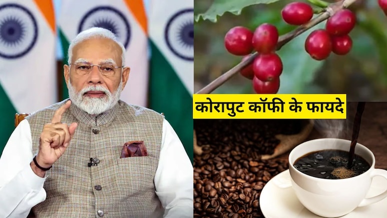 मन की बात में पीएम नरेंद्र मोदी ने की Koraput Coffee की तारीफ, कोरापुट कॉफी की विशेषता क्या है? जानें यहां मन की बात में पीएम नरेंद्र मोदी ने की Koraput Coffee की तारीफ, कोरापुट कॉफी की विशेषता क्या है? जानें यहां