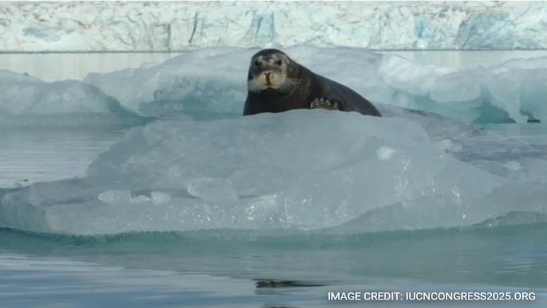 48,646 Species Now At Risk Of Extinction: World's Top Conservation Body 48,646 Species Now At Risk Of Extinction: World's Top Conservation Body