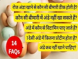 क्या अंडे 100% शाकाहारी होते हैं, अंडे कब नहीं खाने चाहिए, 1 अंडे में कितना प्रोटीन होता है, अंडे में कौन से विटामिन पाए जाते हैं? | 14 FAQs क्या अंडे 100% शाकाहारी होते हैं, अंडे कब नहीं खाने चाहिए, 1 अंडे में कितना प्रोटीन होता है, अंडे में कौन से विटामिन पाए जाते हैं? | 14 FAQs