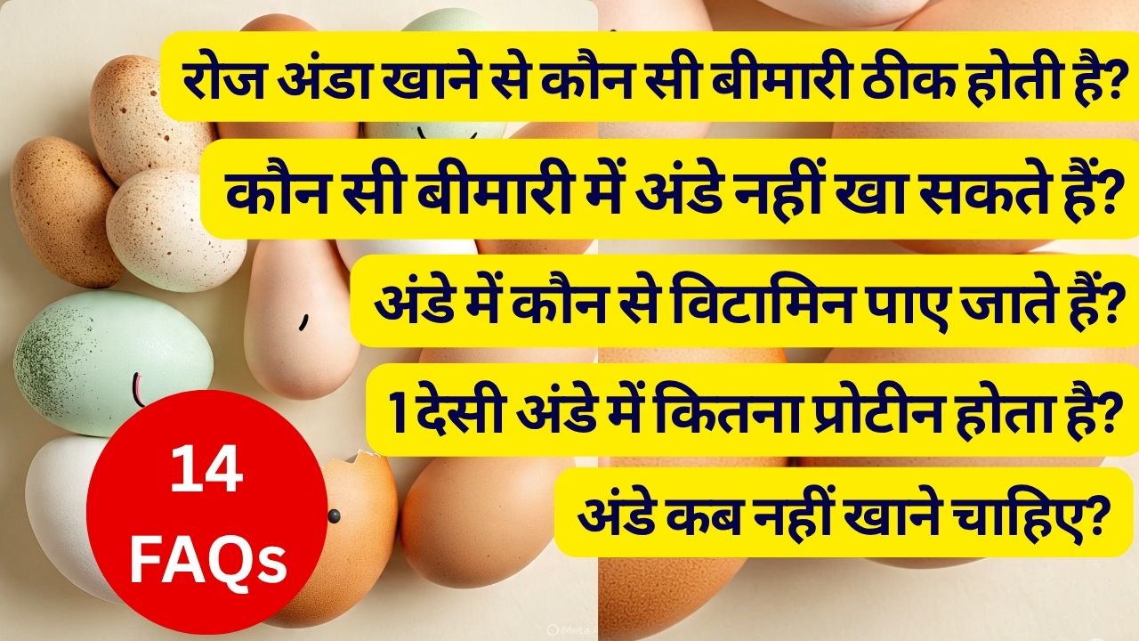 अंडे 100% शाकाहारी होते हैं, अंडे कब नहीं खाने चाहिए, 1 अंडे में कितना प्रोटीन होता है, अंडे के विटामिन | 14 F