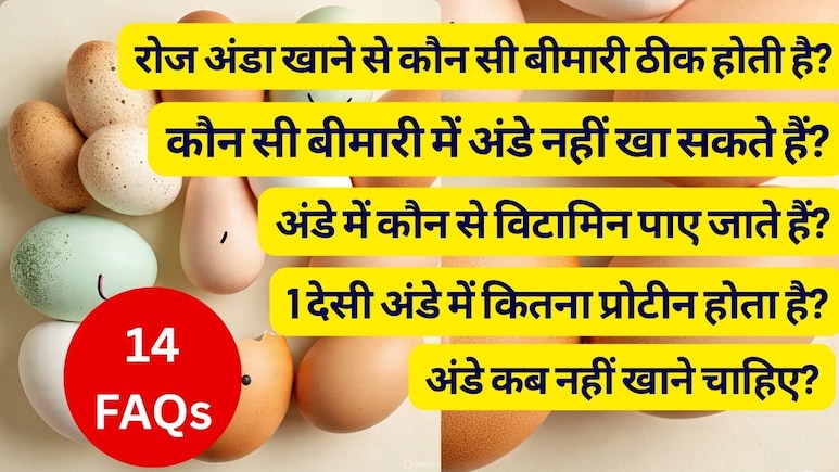 क्या अंडे 100% शाकाहारी होते हैं, अंडे कब नहीं खाने चाहिए, 1 अंडे में कितना प्रोटीन होता है, अंडे में कौन से विटामिन पाए जाते हैं? | 14 FAQs क्या अंडे 100% शाकाहारी होते हैं, अंडे कब नहीं खाने चाहिए, 1 अंडे में कितना प्रोटीन होता है, अंडे में कौन से विटामिन पाए जाते हैं? | 14 FAQs